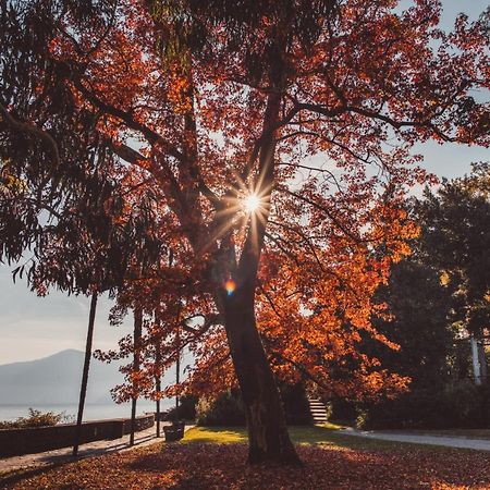 Hotel Villa Emden Brissago Eksteriør bilde