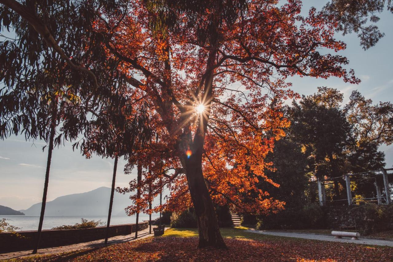 Hotel Villa Emden Brissago Eksteriør bilde