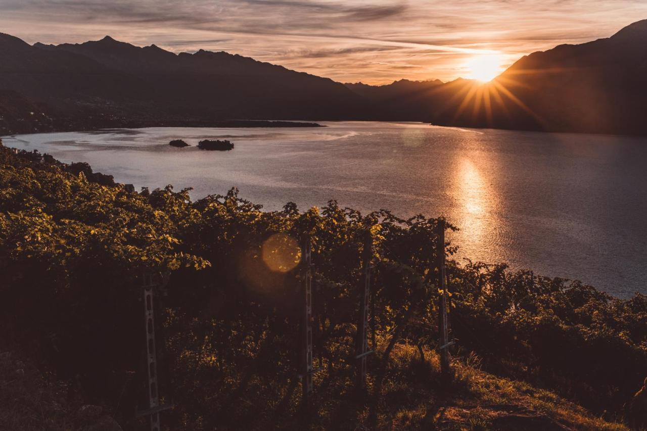 Hotel Villa Emden Brissago Eksteriør bilde