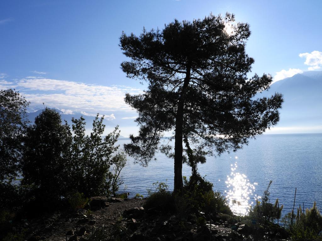 Hotel Villa Emden Brissago Eksteriør bilde